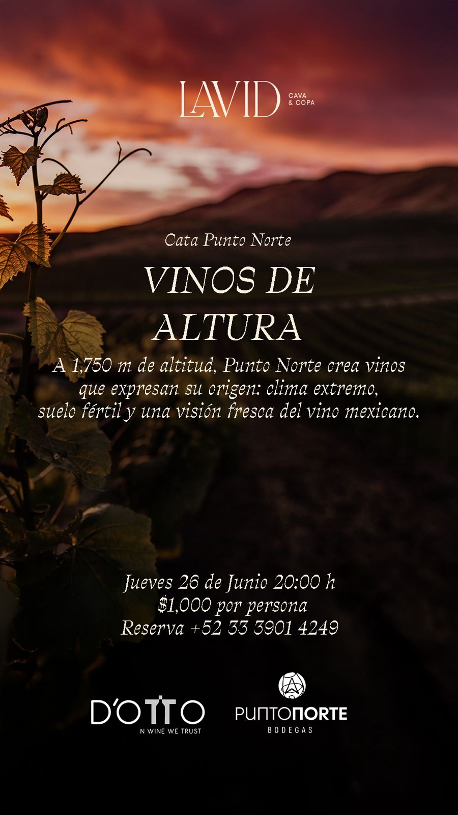 Cata Punto Norte VINOS DE ALTURA
