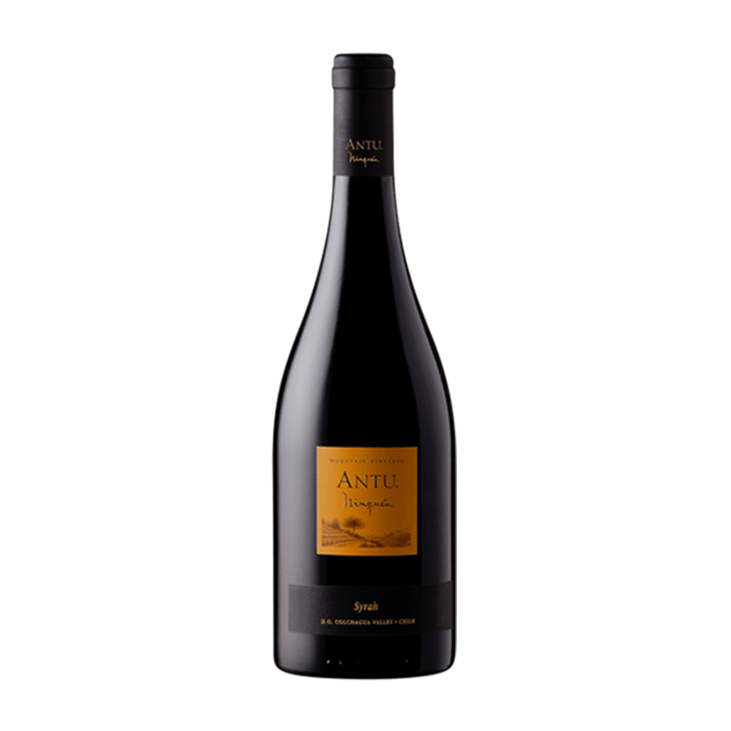 MontGras Antu Ninquén Syrah